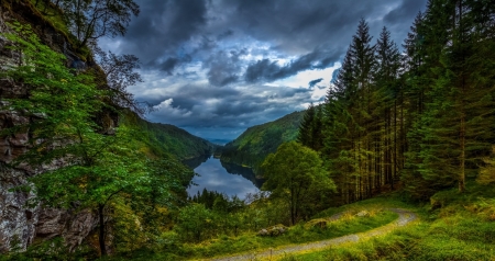 Beautiful Forest - lake, valley, trees, water, mountains, cloud, forest, beautiful, grass