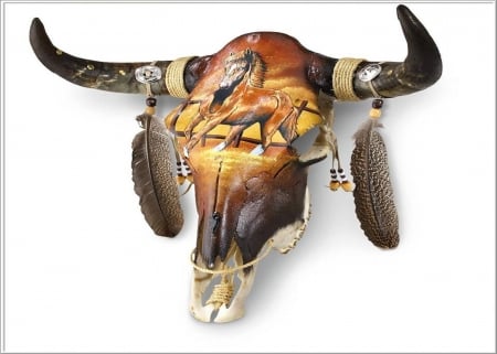 paint of the skull - bison, horn, indian, buffalo, skull