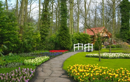 Park in summer - trees, park, greenery, summer, beautiful, alleys, flowers, grass, garden