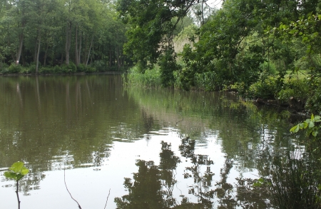 Tilgate lake - lake, forest, west sussex, england, park, tilgate