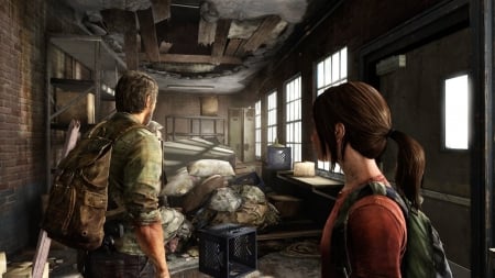 The Last Of Us - Survival, The Last Of Us, gaming, Open world