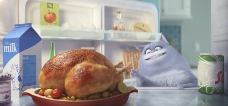 The Secret Life of Pets - pets, films, cartoons, moviess