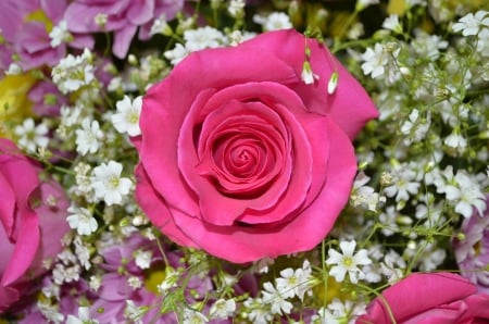 pink rose with white little flowers - white, love, bouquet, flowers, rose