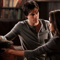 The Vampire Diaries (TV Series 2009â€“ )