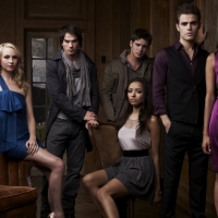 The Vampire Diaries (TV Series 2009â€“ )