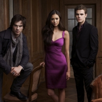 The Vampire Diaries (TV Series 2009â€“ )