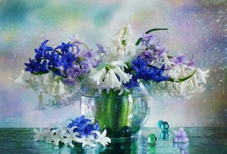 Hyacinths - vase, blue, ball, spring, flower, pink, still life, white, hyacinth, glass