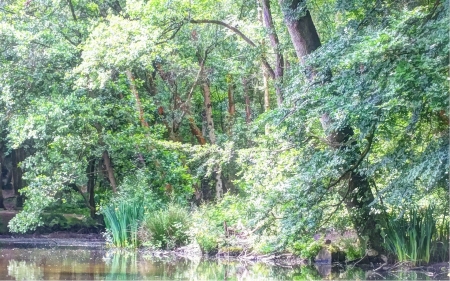 English Garden - england, garden, lake, forest, park