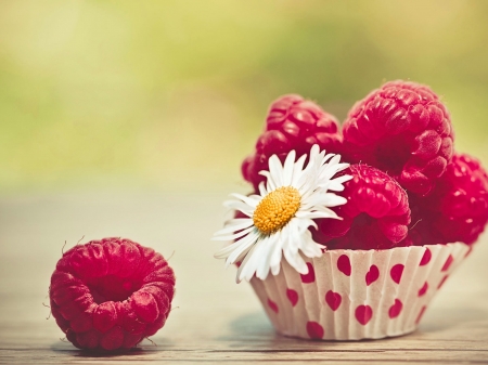 Red fruits - macro, raspberries, daisy, red fruits, berries, flower