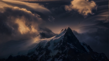 condor gliding over mountain peak - peak, bird, clouds, sundown, mountain, snow