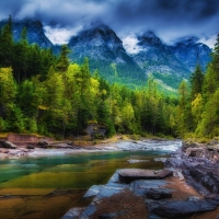 beautiful forest stream hdr