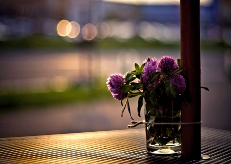 Flowers in a Glas