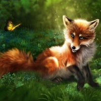 Sweet Fox