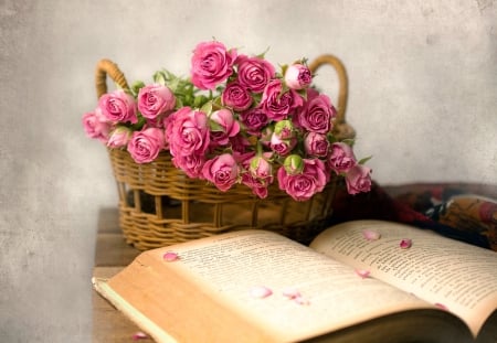 Pink Roses - pink, photography, beautiful, pink rose, basket, book, rose