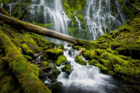 Proxy Falls, Oregon - cascades, river, water, roks, tree