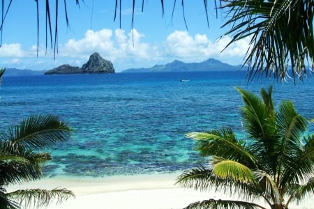 Pitairn, South Pacific - beah, water, palms, sea, coast, rocks