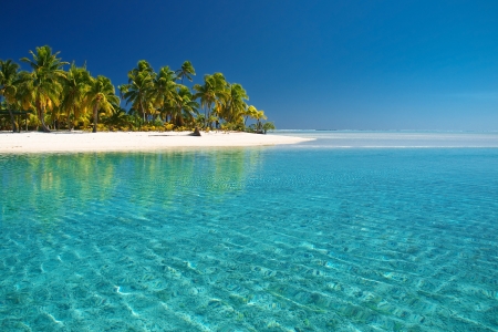 South Pacific Beach - palms, water, island, sea, sky