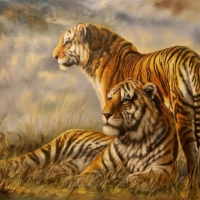 Tigers