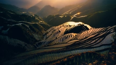 glistening terraced rice patties at sunset - terraces, sunset, patties, mountains, glistening