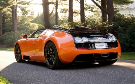 2015 Bugatti Veyron 16.4 - 2015, car, sports car, veyron, bugatti