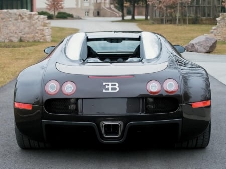 2013 Bugatti Veyron 16.4 - veyron, 2013, bugatti, car, sports car