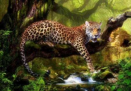 King of Jungle - summer, paintings, tiger, big wild cats, forests, tropical, jungle, cats, love four seasons, draw and paint, animals