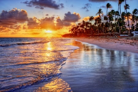 Bali, Indonesia - palms, water, sea, reflection, sun, sky