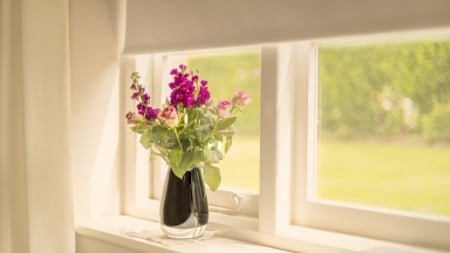 ✿ - flowers, vase, window, photogpahy, bouquet