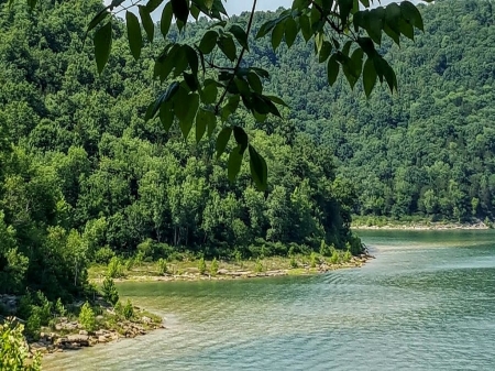 Lakeside Resort Smithville, TN - lake, trees, tennessee, water, green, lakeside, lakeside resort smithville