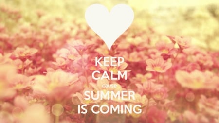 Summer Is Coming :) - flowers, heart, quote, Spring