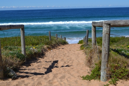 Palm Beach Pathway - pathway, ocean, beach, surf, sun, sand, palm