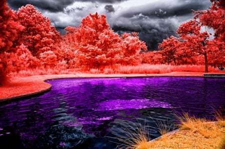 Blue Lake - lake, forest, clouds, trees, nature, blue