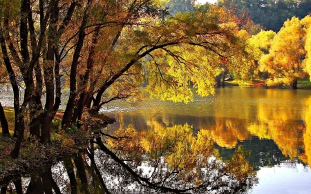 Autumn Lake - trees, nature, autumn, lake, reflection