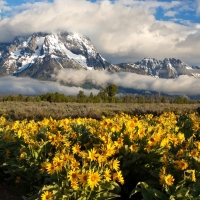 Wyoming National Park
