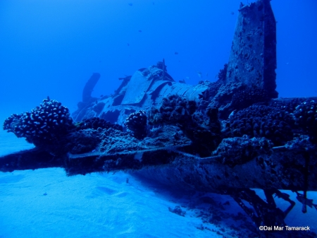 Underwater Wreck - water, mystery, wreck, plane, ocean, underwater