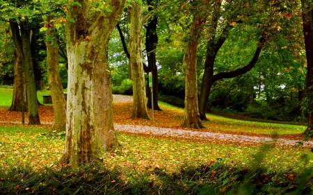 Autumn Time - Hues, Autumn, Reds, Nature