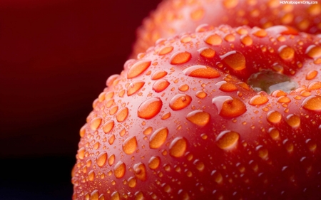 Washed Apple - skin, water, apple, red