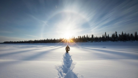 man trudging through snow towards sunrise - halo, trees, man, snow, winter, tracks, field, sunrise