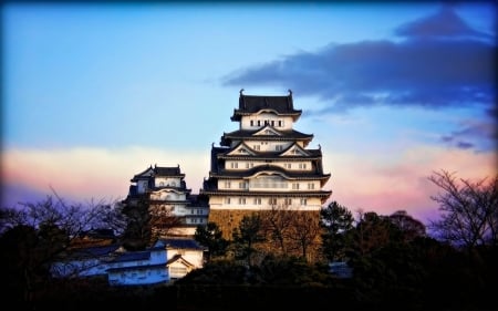 himeji castle - himeji, tree, japan, castle