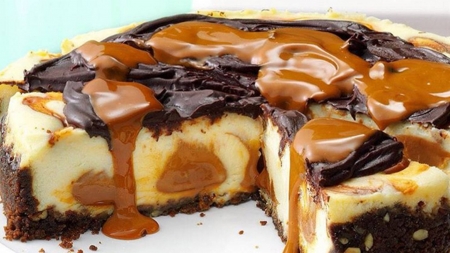 brownie cheesecake - fun, brownie, food, yummy, entertainment, cheesecake, cool