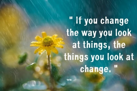 Change - sunflower, nature, rain, thoughts, words, flower, quotes