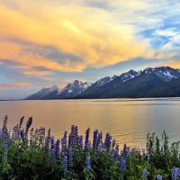 Lake,Grand Teton,Wyoming