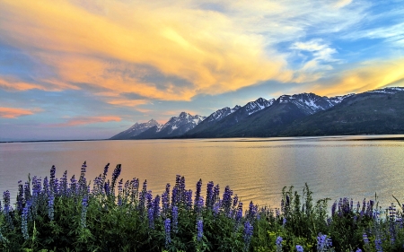 Lake,Grand Teton,Wyoming