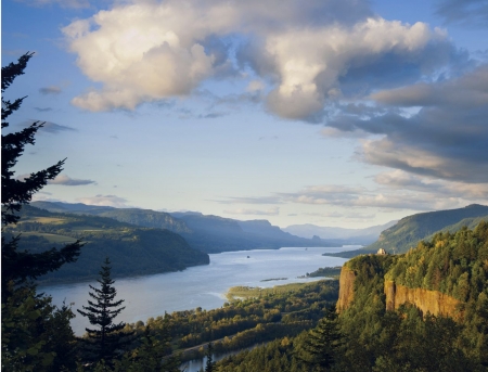 Columbia River Gorge - sky, landscape, trees, forest, clouds, water, tower