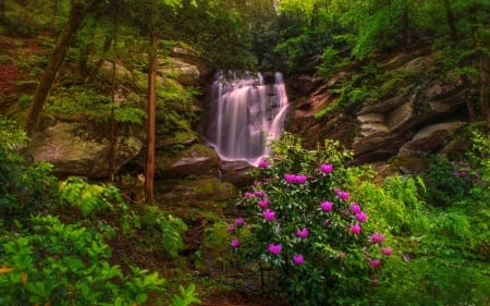 Forest waterfall - slope, trees, cascades, greenery, summer, waterfall, forest, beautiful, flowers, grass