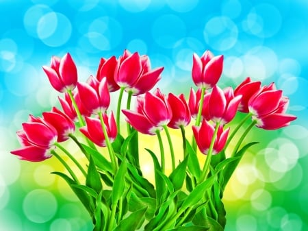 Tulips background - background, pretty, red, beautiful, tulips, flowers