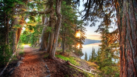 forest trail by a seacoast hdr - trail, sunset, coast, hdr, sea, forest