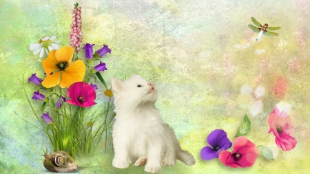 Summer Kitten - summer, spring, flowers, Firefox Persona theme, kitten, green, dragonfly, kitty, wild flowers