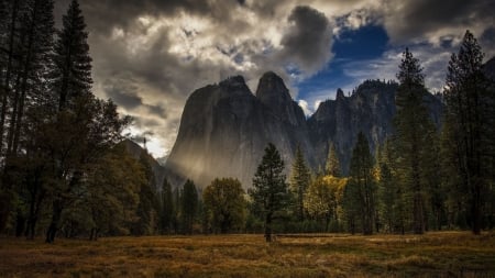 yosemite national park - trees, clouds, mountains, meadow, grass, cliffs