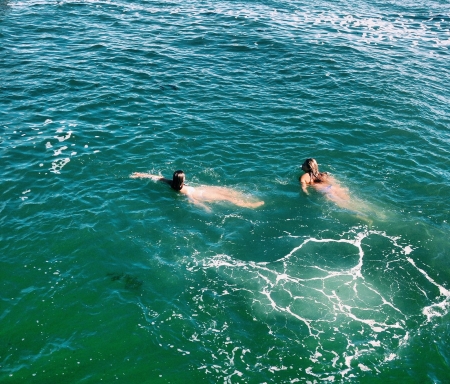 A Swim In The Sea - swi, sea, ocean, nature